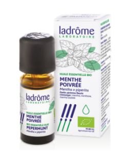 Menthe poivrée (Mentha x piperita)